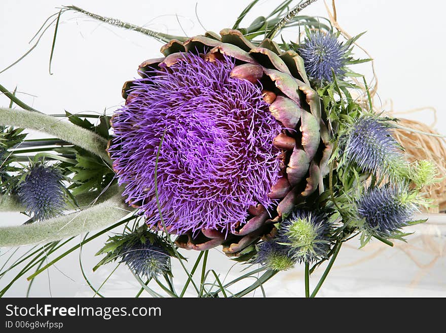 Violet flower composition on white