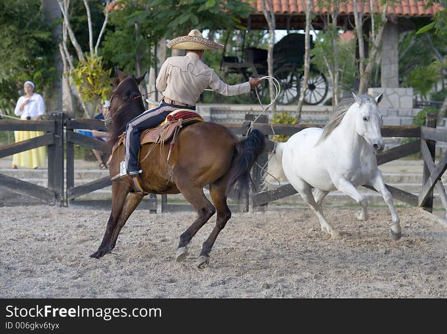 Man on horse back