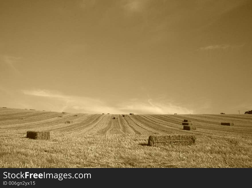 Bales of starw in a field against a blue sky. Bales of starw in a field against a blue sky