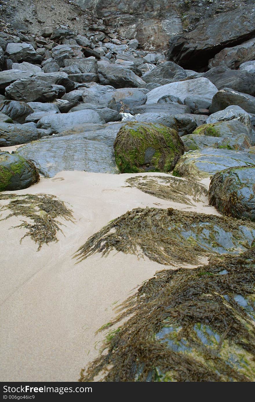 Cornish Beach