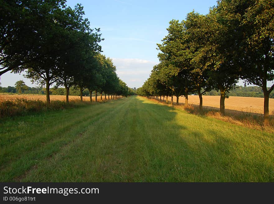 Althorp is the place that princess diana is buried.. it is a beautiful place. Althorp is the place that princess diana is buried.. it is a beautiful place