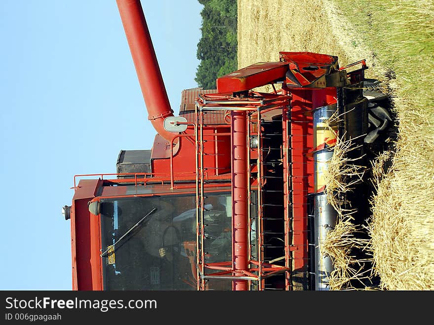 Harvest time in an English wheat field