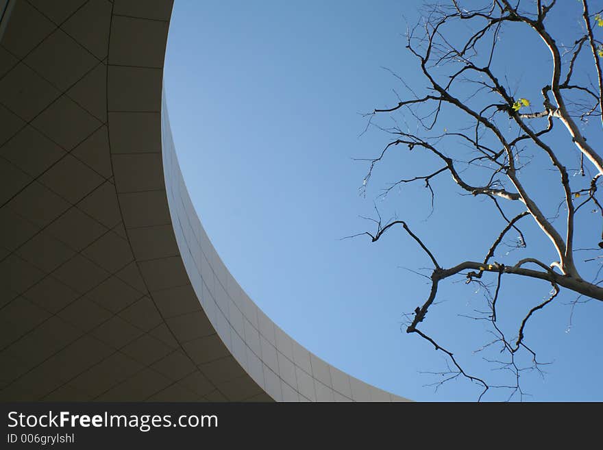 A Tree And A Curve