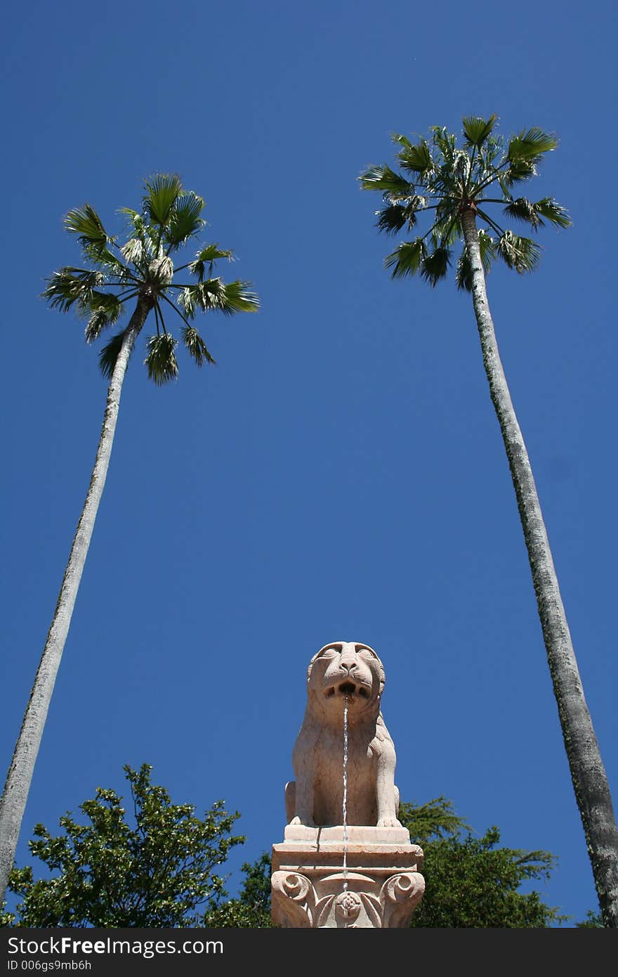 A lion and two palm trees