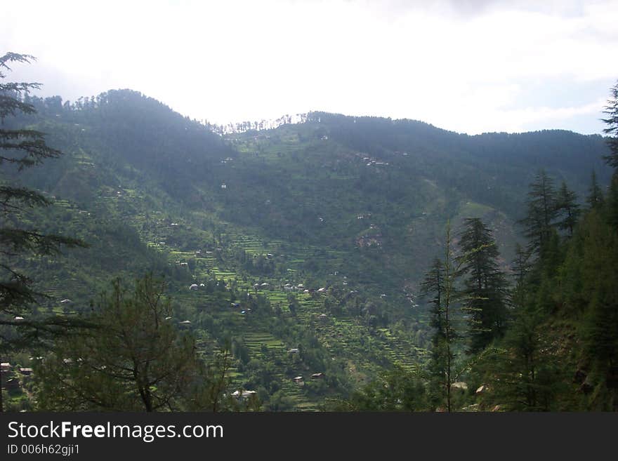 Himachal Pradesh, India, mountainscape. Himachal Pradesh, India, mountainscape