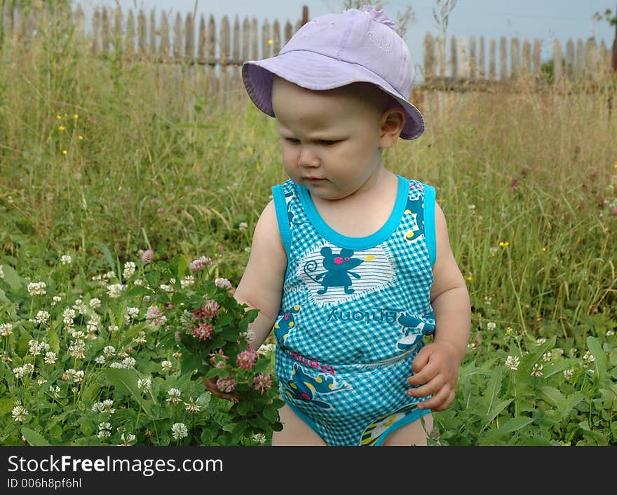 Little Girl In Clover Meadow