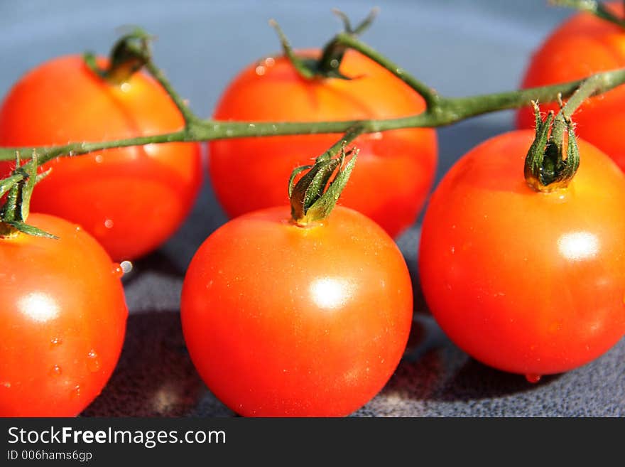 Tomatoes attached to its chord. Tomatoes attached to its chord