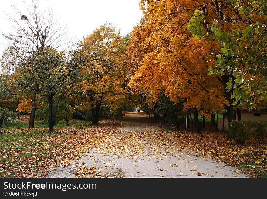 Autumn view. Autumn view