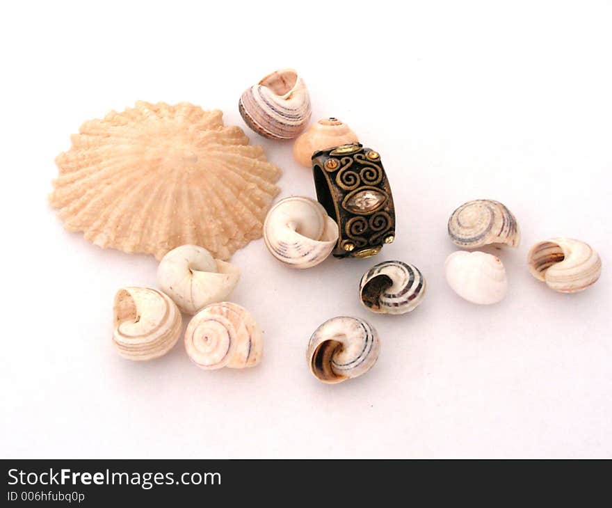 Shells and ring