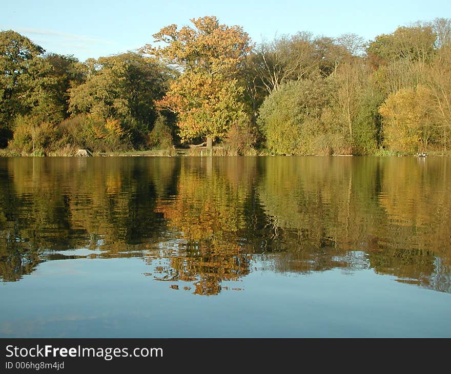 Autumnal woodland on lake shore