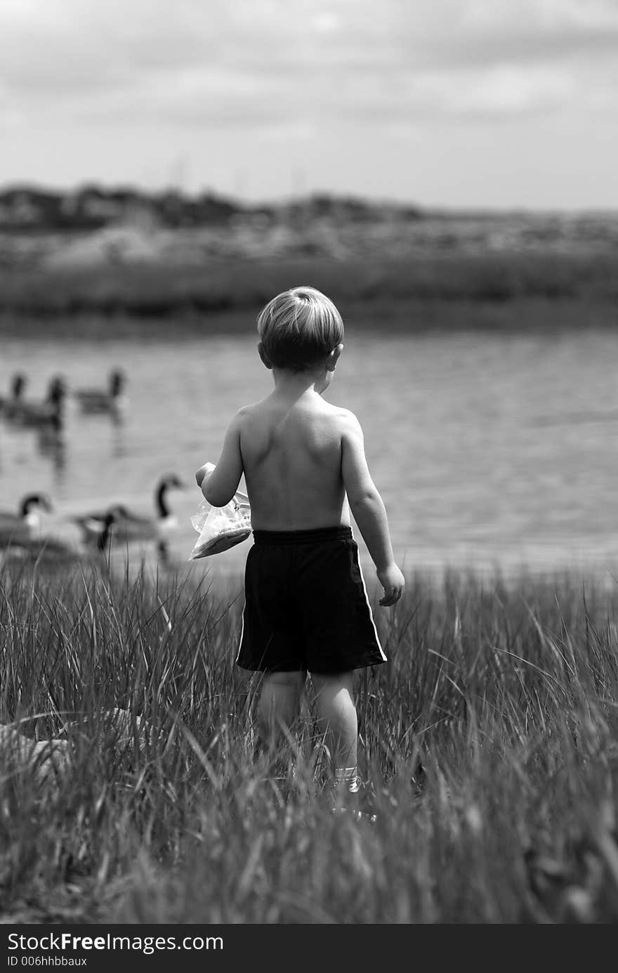 Looking out on the harbor in Winthrop, Massachusetts a youngster shares his bag of treats with some passing feathered friends. Looking out on the harbor in Winthrop, Massachusetts a youngster shares his bag of treats with some passing feathered friends...