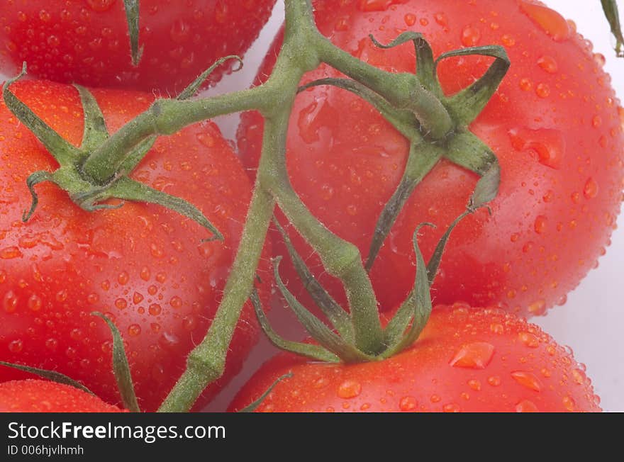 Tomatoes with rain drops