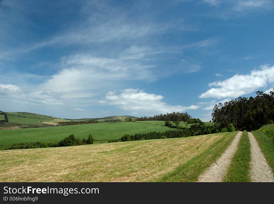 Wonderful Summer Landscape