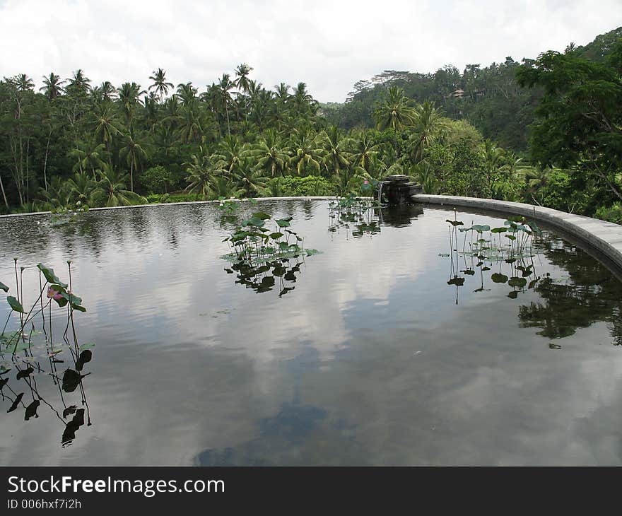 A rooftop pond at the Four Seasons Sayan in Bali. A rooftop pond at the Four Seasons Sayan in Bali.