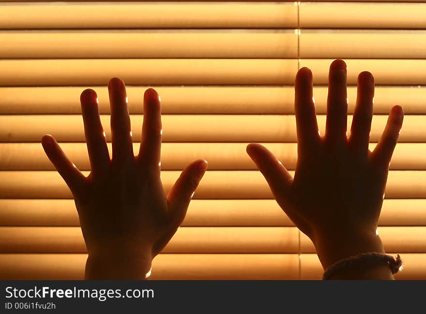 Hands of children in the sun behind a shutter. Hands of children in the sun behind a shutter