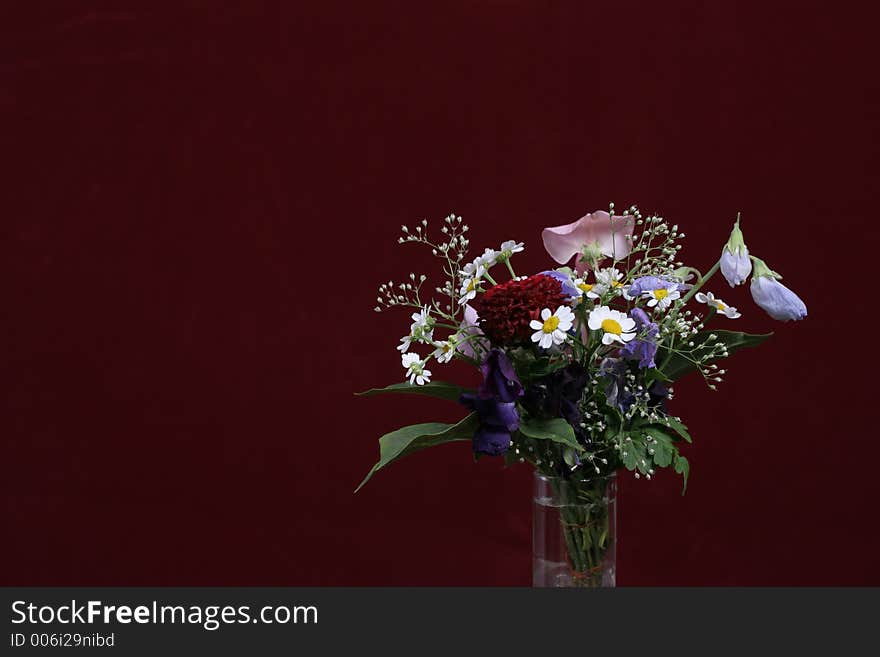 Flowers On The Purple Bakcround