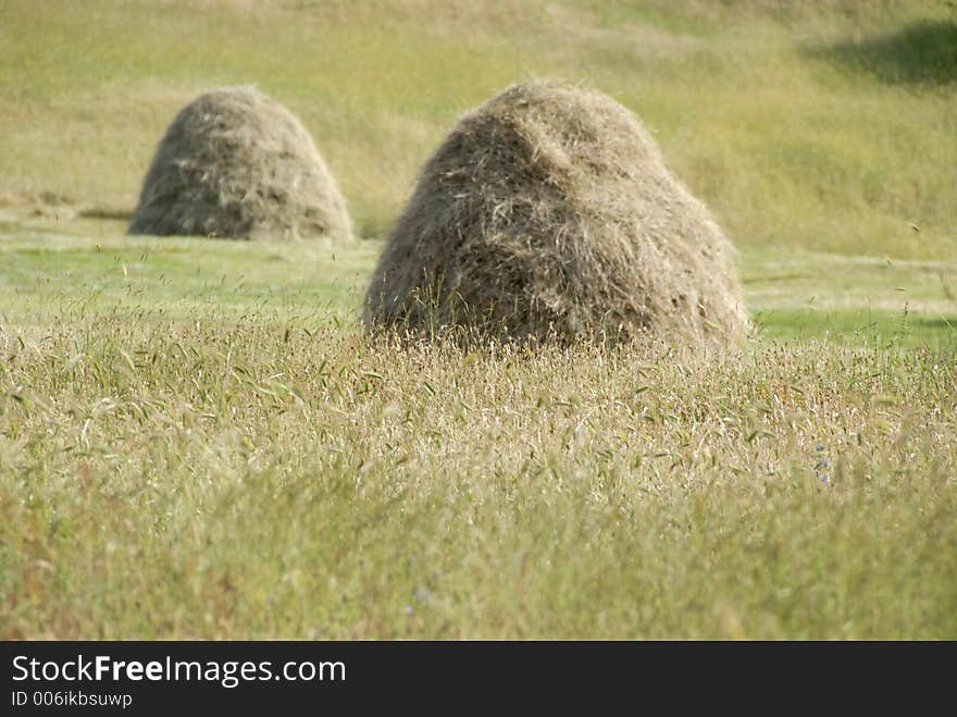 Hay from the montenegro