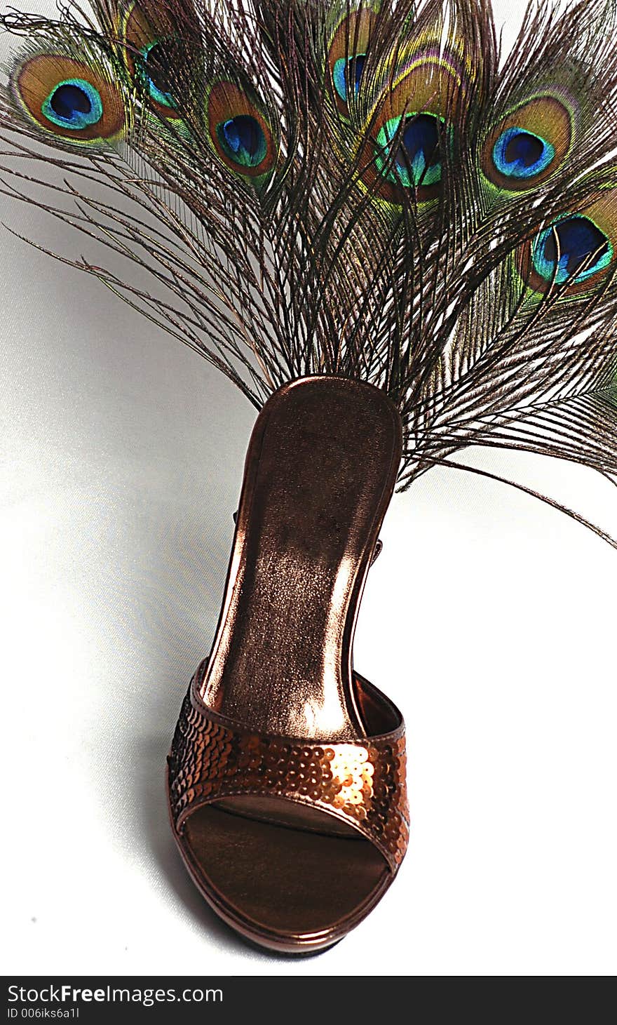 A copper-colored sequined women's shoe with peacock feathers attached. A copper-colored sequined women's shoe with peacock feathers attached.