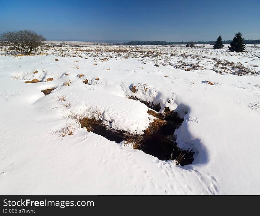 Winter landscape