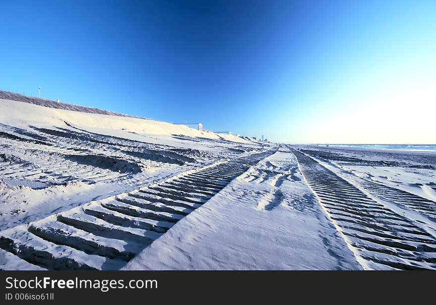 Tracks On The Beach