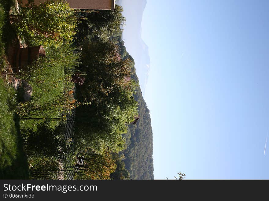 Photo of a forest on a mountain. Seen from a garden. Photo of a forest on a mountain. Seen from a garden.