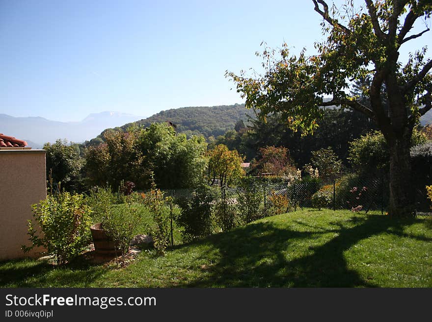 Trees, a garden, and a forest far away under a clear blue sky. Trees, a garden, and a forest far away under a clear blue sky