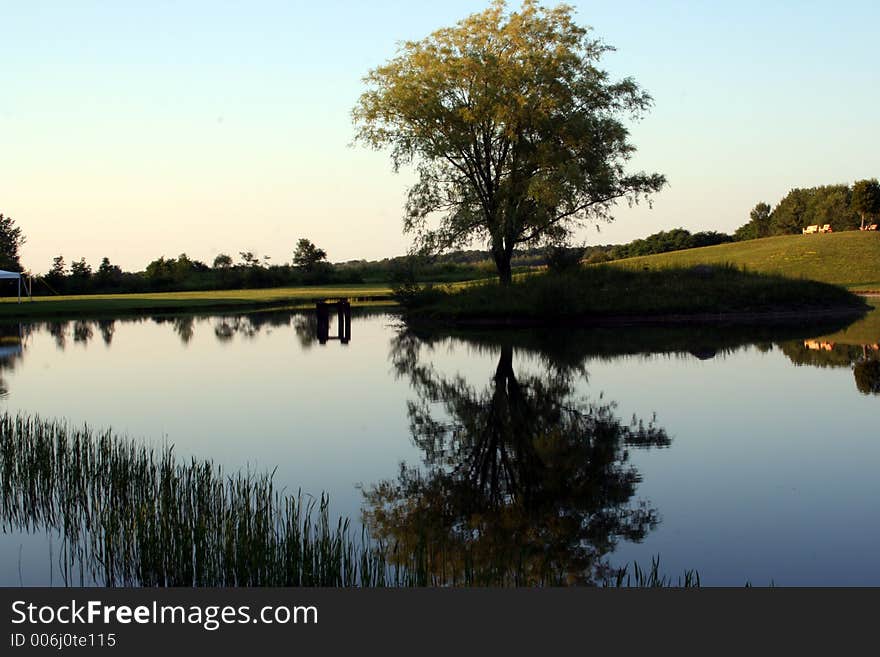 Tree Reflection