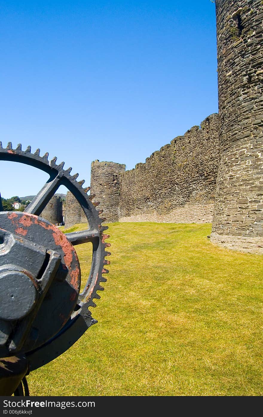 Gear wheel and castle