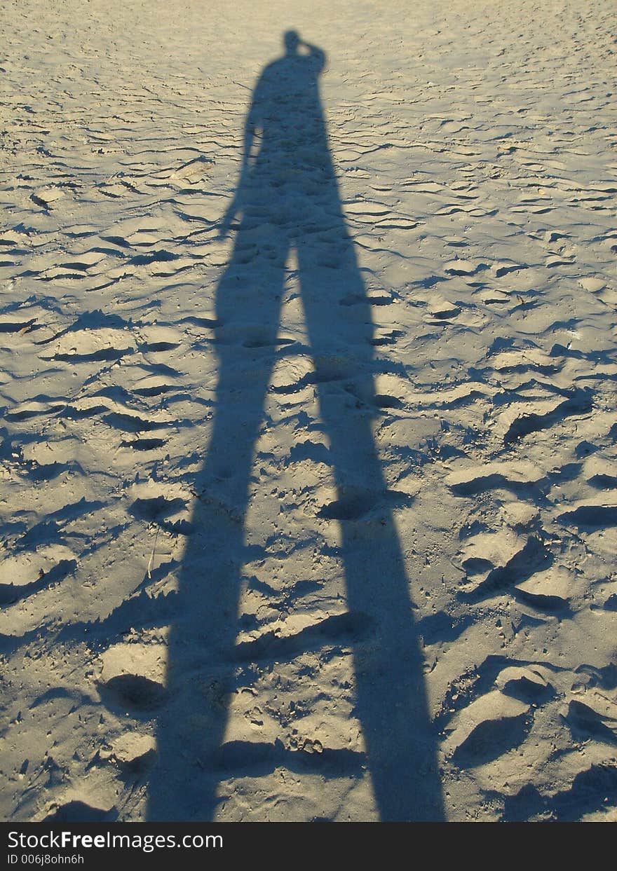 Sandy Shadow