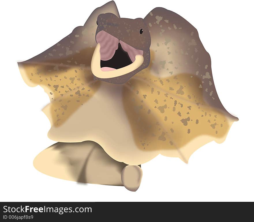 Frilled-neck Lizard