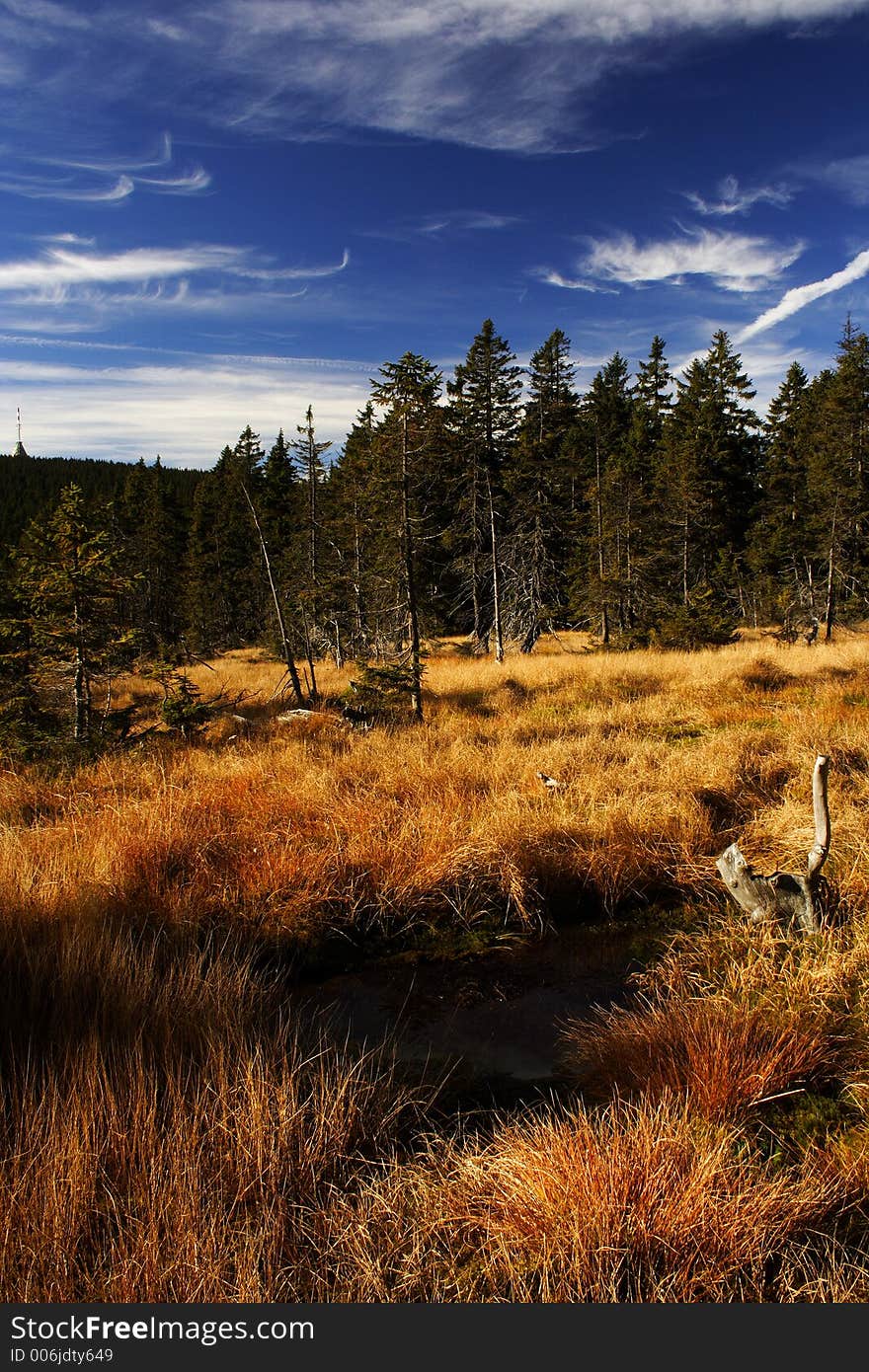 Peat-bog in Giant mountains (Černohorské rašeliniště)