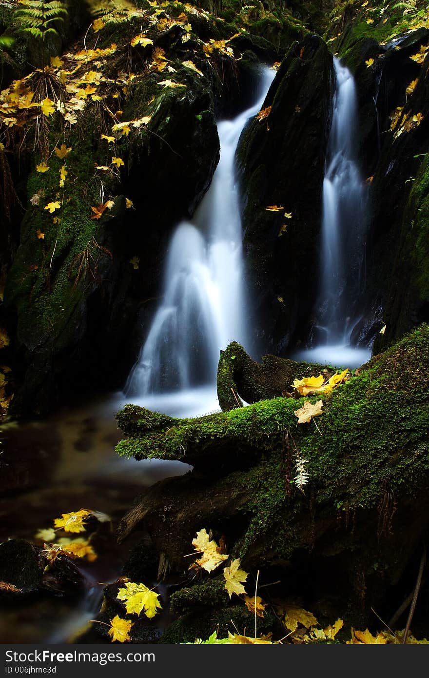 Autumn Stream In Giant Mountains