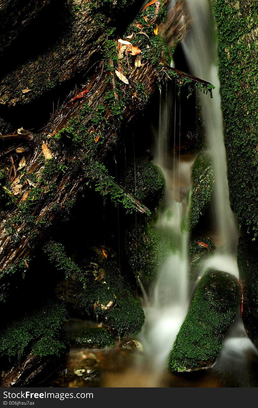 Autumn stream in Giant mountains