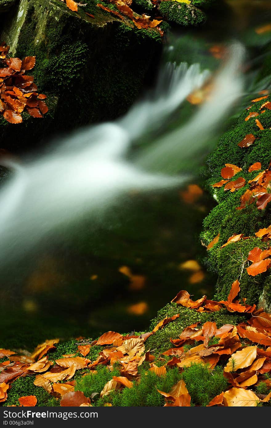 Autumn Stream In Giant Mountains