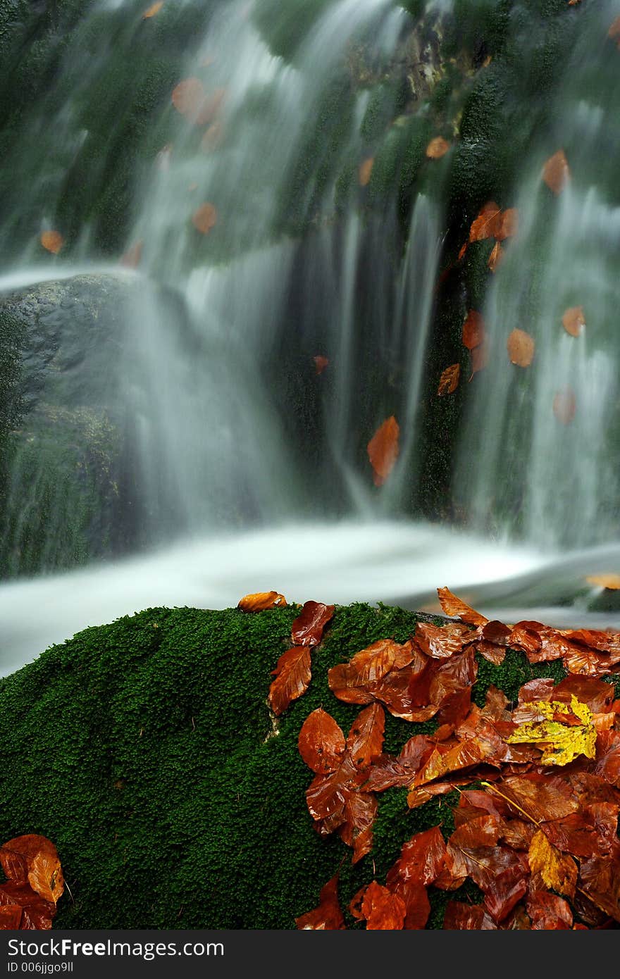 Autumn Stream In Giant Mountains