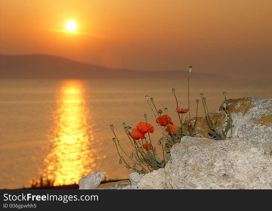 Sunrise by the black sea. Sunrise by the black sea