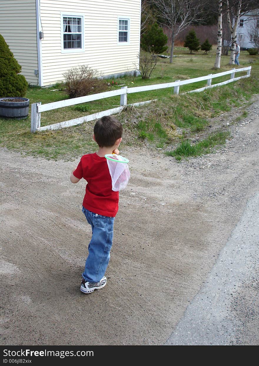 Boy going Bug Catching