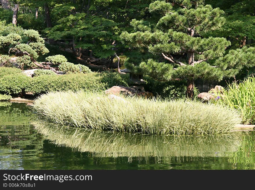 Pond landscape