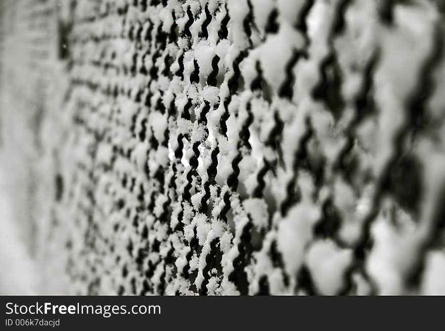 Snow on a fence. Snow on a fence