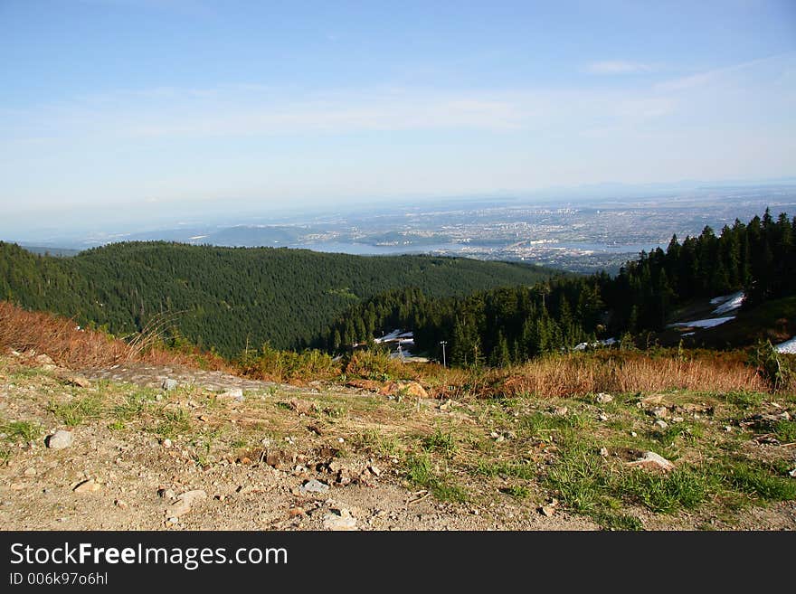 View of metropolitan city from the forest in the hills above. View of metropolitan city from the forest in the hills above.