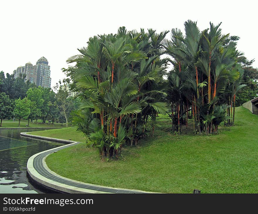 A landscape of a park in Kuala Lumpur City Center. A landscape of a park in Kuala Lumpur City Center