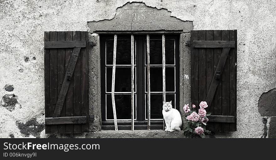 A Cat sits on the edge of a traditional window, Auvergne, France. A Cat sits on the edge of a traditional window, Auvergne, France