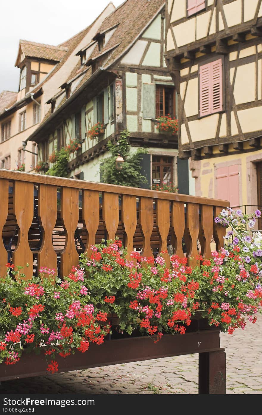 Flowers and houses