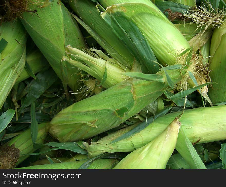 Fresh Corn at Market