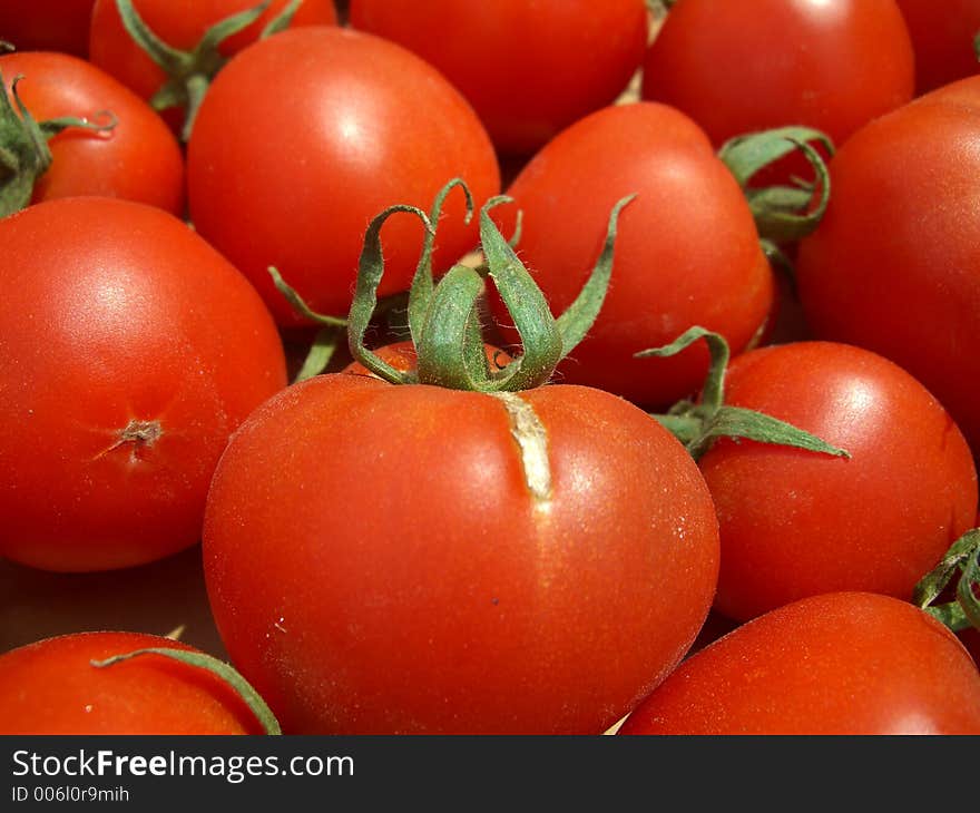 Fresh Tomatoes