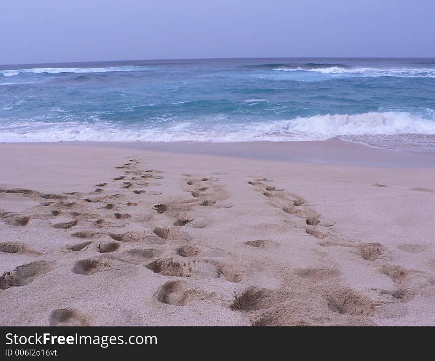 Footprints in the sand of sunset beach. Footprints in the sand of sunset beach