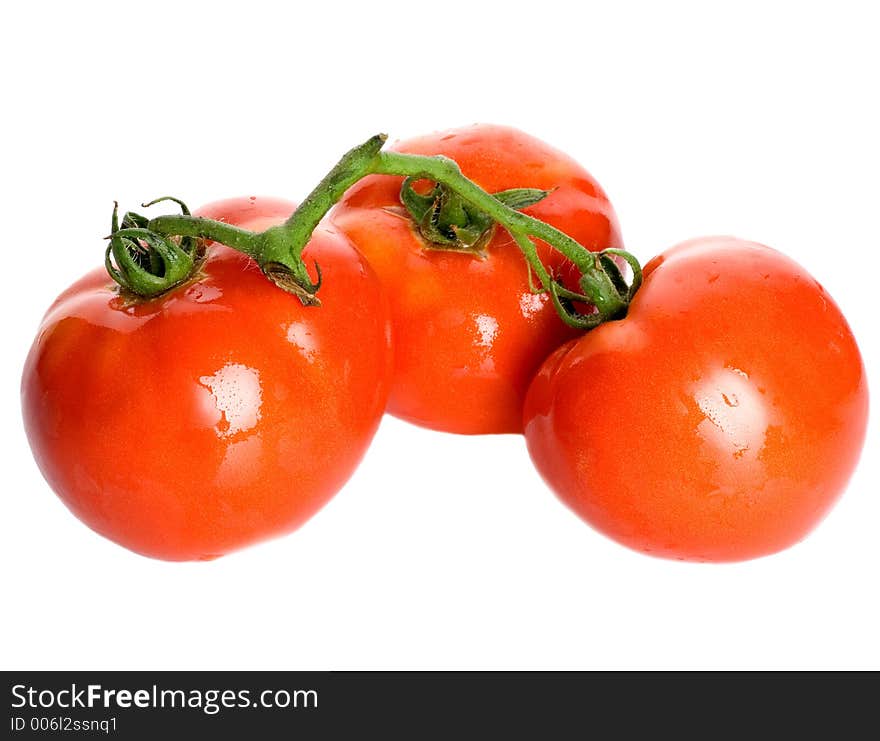 Three tomatoes against white background