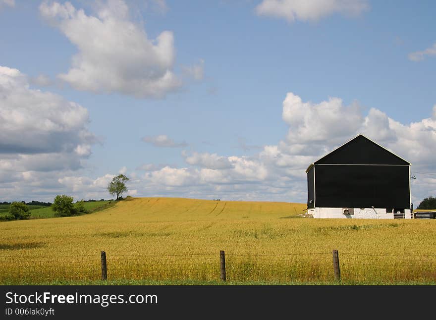 Black Barn