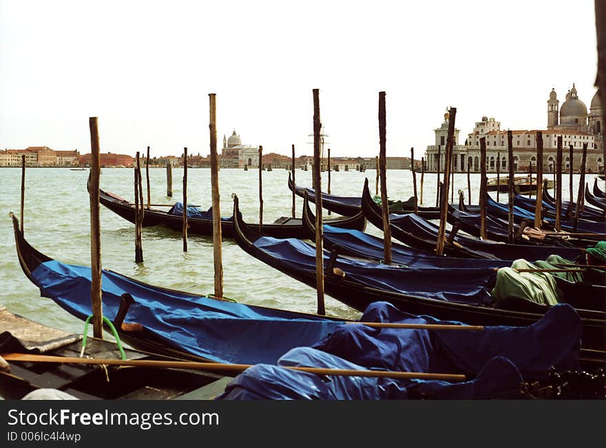 Venice Lagoon