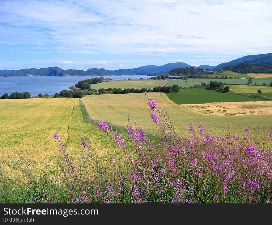 Norwegian farmland